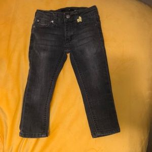 Toddler Joe Jeans